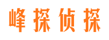 方城市婚姻调查